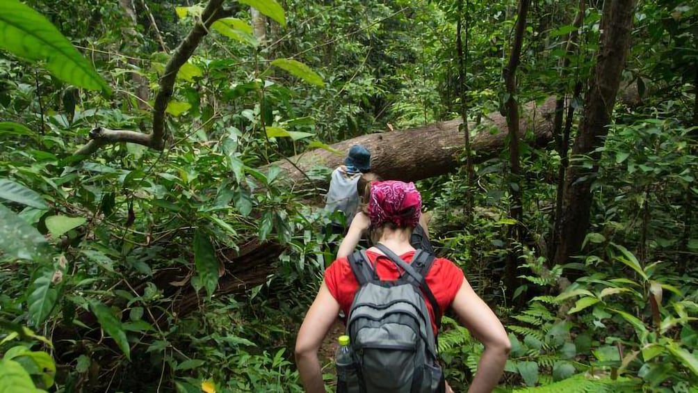 Exploring the largest nature preserve in Dominican Republic