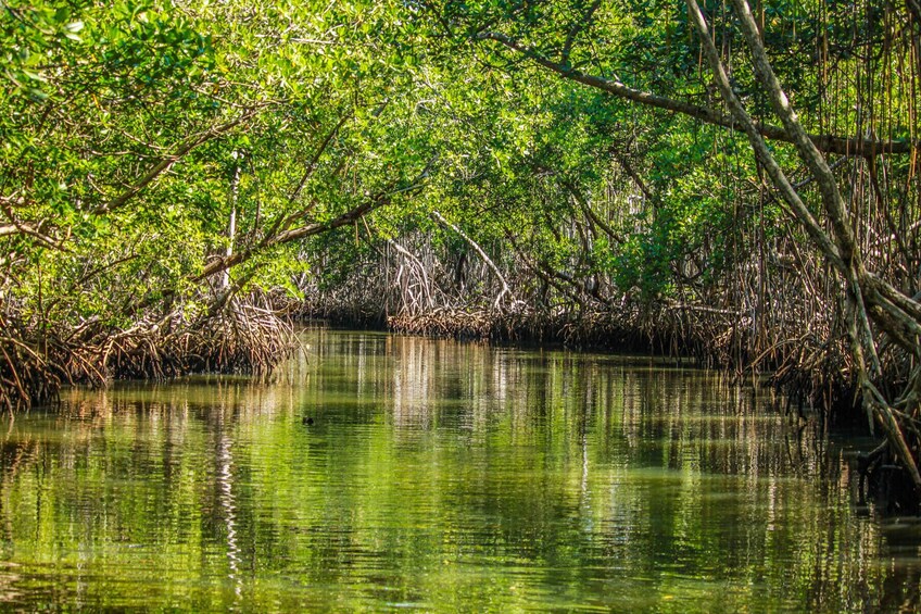 Exploring the largest nature preserve in Dominican Republic