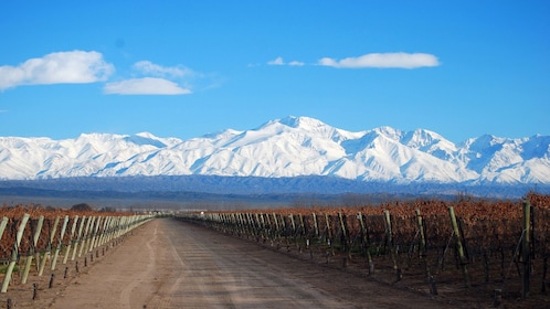 4 jours à Mendoza excursion avec dégustations de vins