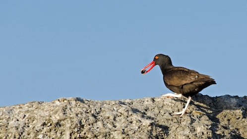 4-Day Tour to Puerto Madryn