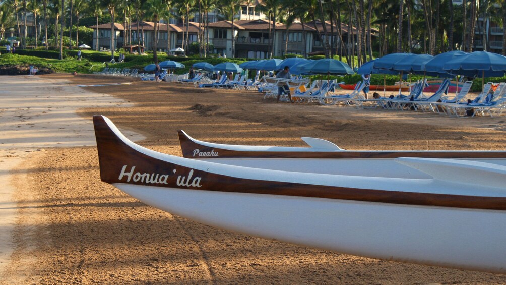 Two canoes sitting on the beach in Maui