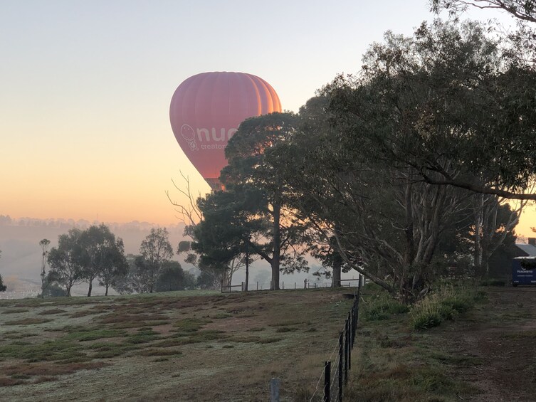 Balloon Rides in Geelong and Bellarine Peninsula