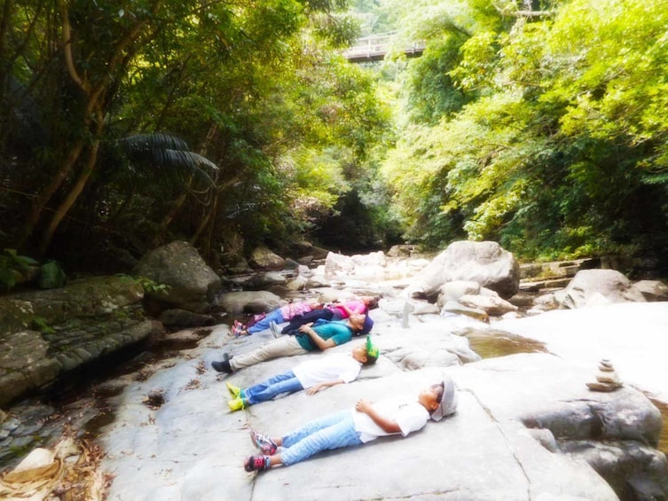 Forest Therapy Experience In Kunigami Village Okinawa Forest Therapy Experience In Kunigami Village Okinawa