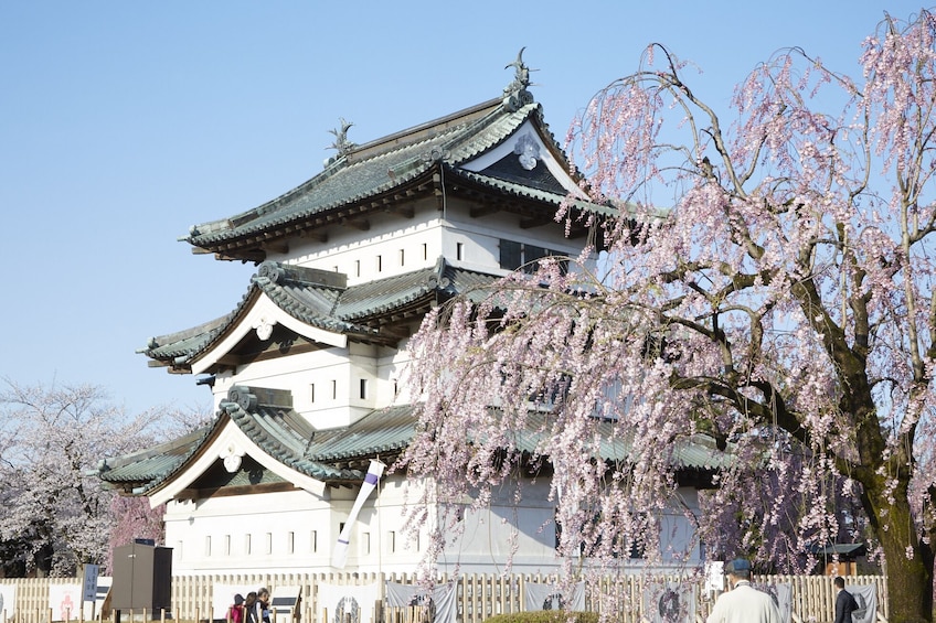  Instagrammable Attraction Tour in Aomori