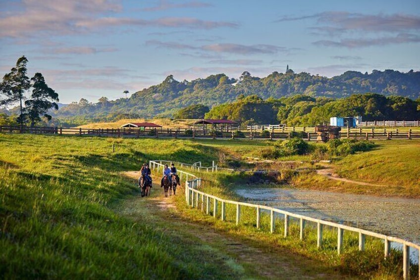 Kuranda Half Day with Petting Zoo & Horse Trail Ride Tour