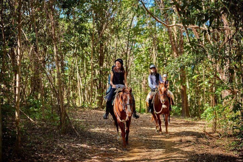 Kuranda Half Day with Petting Zoo & Horse Trail Ride Tour