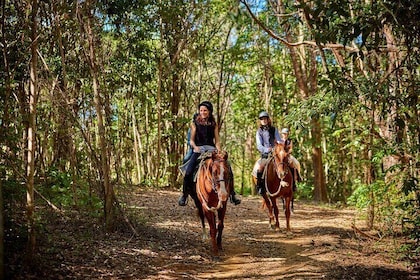 Kuranda Half Day with Petting Zoo & Horse Trail Ride Tour