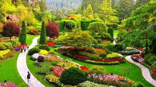 The Butchart Gardens Tour Experience