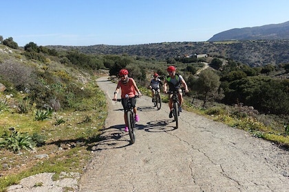 Small Villages and Cretan Nature. E-Bike tour with Cretan Brunch