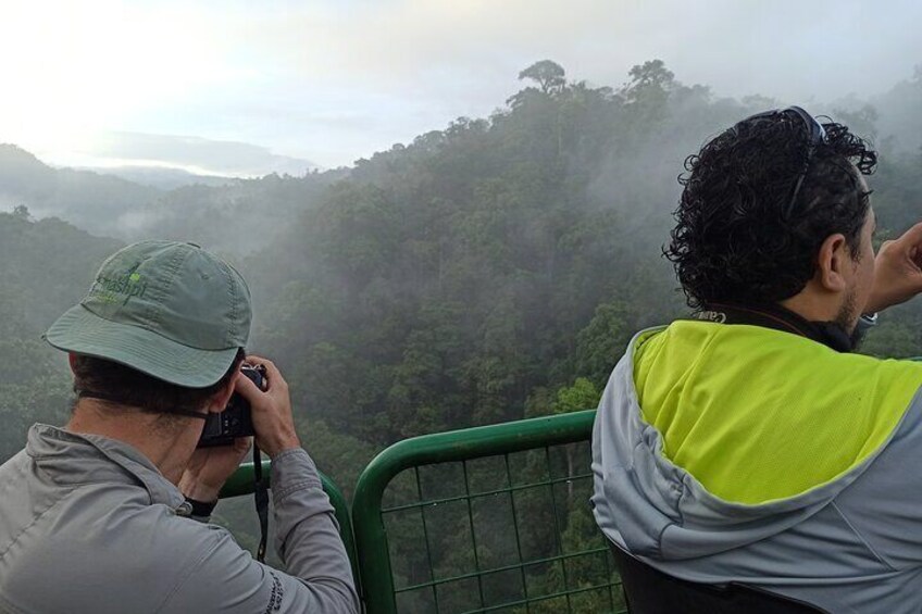 look at the cloudy forest from above. with the possibility of cable car 

