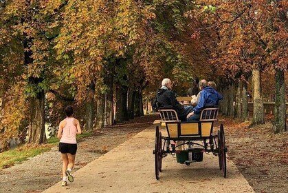 Carriage tour on the Renaissance walls of Lucca
