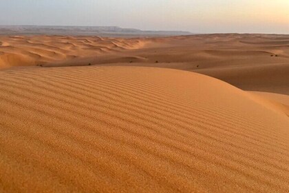 Full-Day Tour to Saudi Red Sand Dunes from Riyadh with Dinner