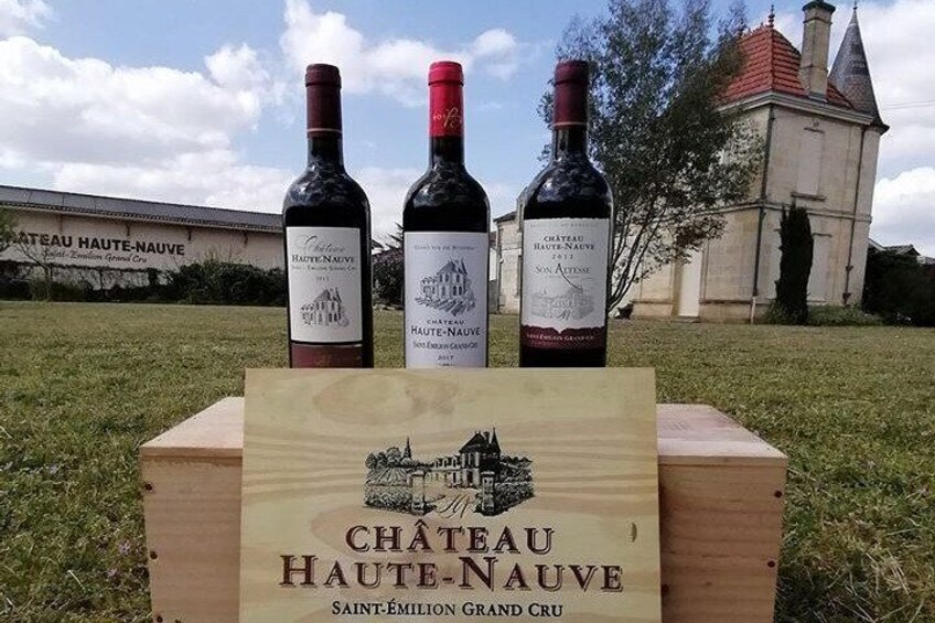 Discovery of a Family Vineyard in Saint Emilion