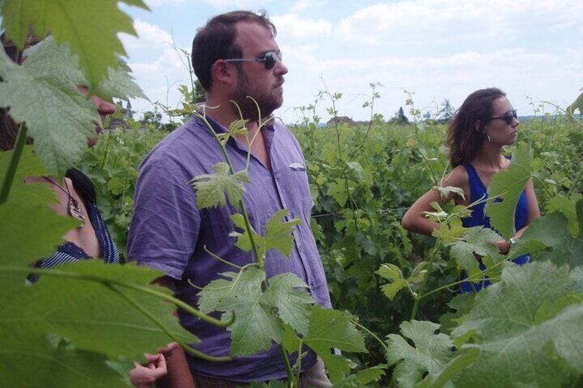 Discovery of a Family Vineyard in Saint Emilion