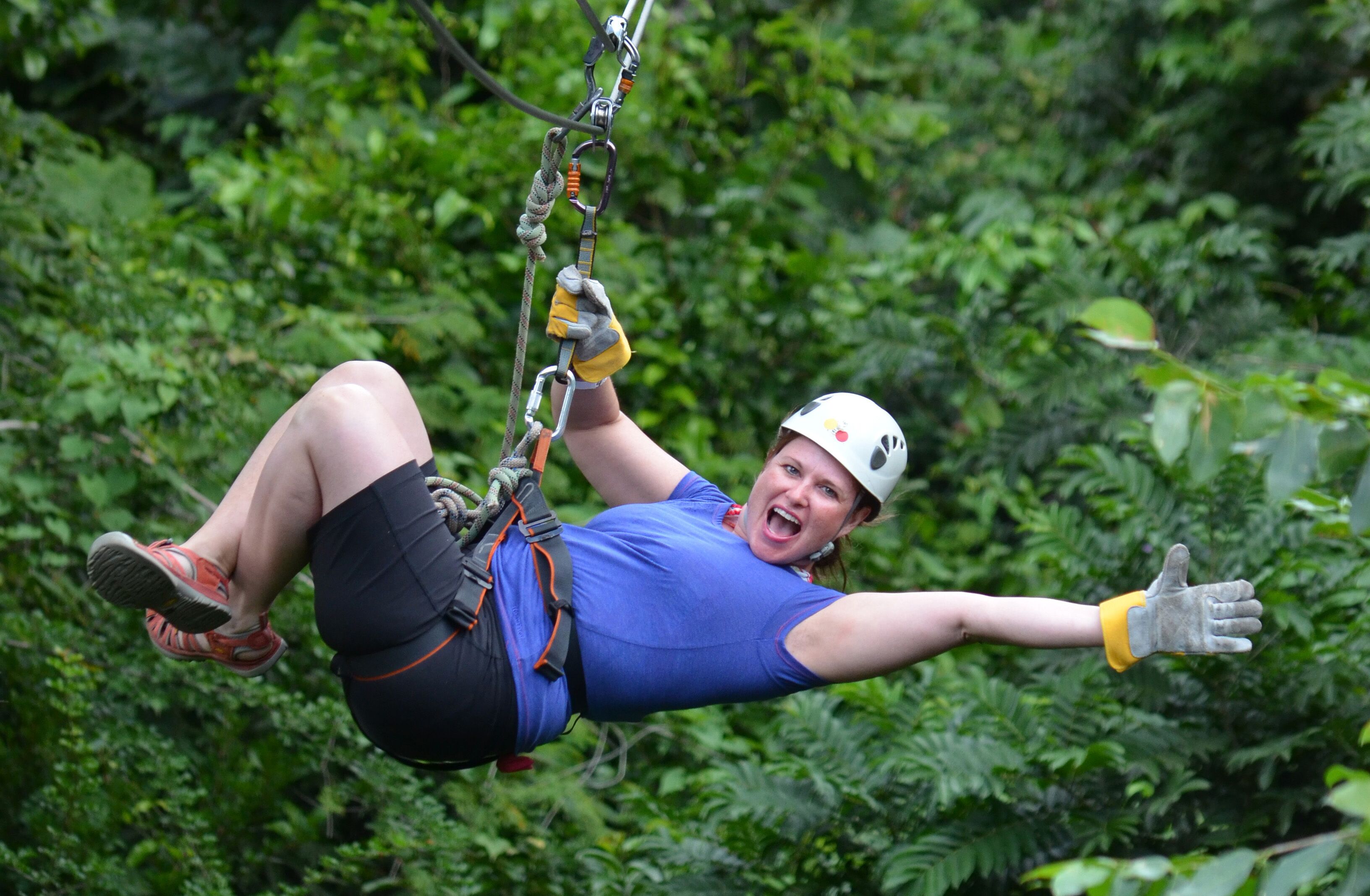 Tour Guiado De Zipline Canopy Y Dunn S River Falls Con Entrada