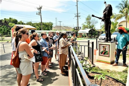 Tour privato di una giornata intera del Bob Marley Nine Mile e di Kingston