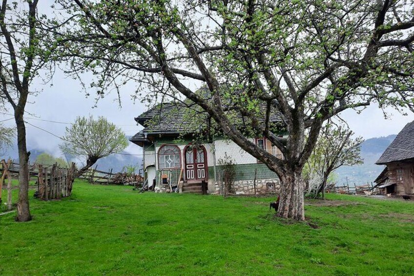 Local house