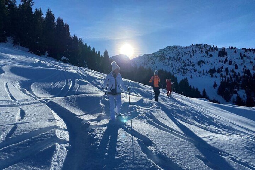 Private Snowshoe Hike in Courchevel