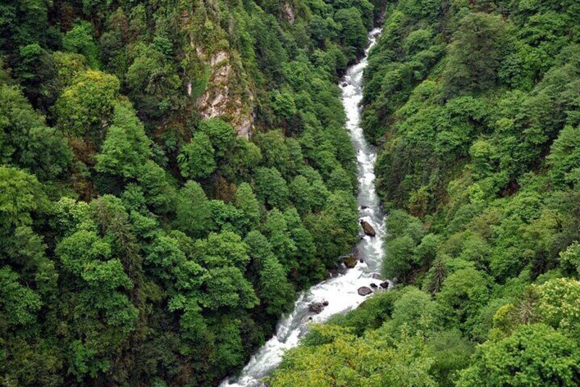 Full-Day Private Tour to Ayder Plateau from Trabzon