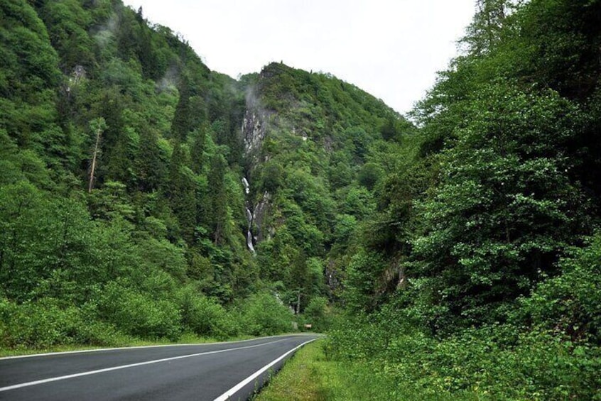Full-Day Private Tour to Ayder Plateau from Trabzon