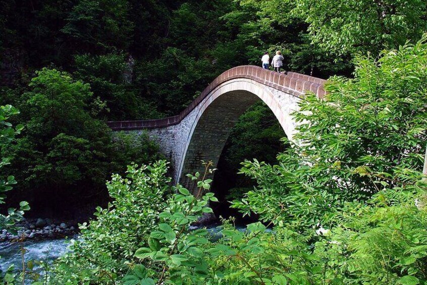 Full-Day Private Tour to Ayder Plateau from Trabzon