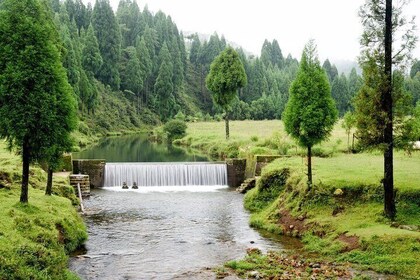 Excursion d'une journée à Mawlynnong (visite privée guidée de Shillong)