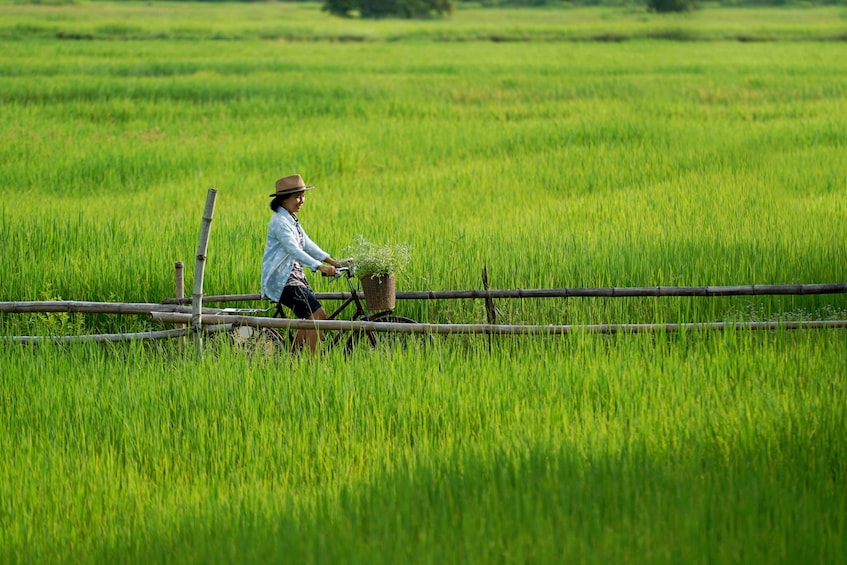 Cu Chi Tunnels & Mekong Delta VIP Tour from Ho Chi Minh city