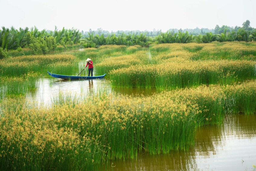 Cu Chi Tunnels & Mekong Delta VIP Tour from Ho Chi Minh city