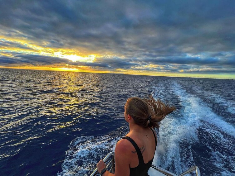 Sunset Whale Watching with Champagne