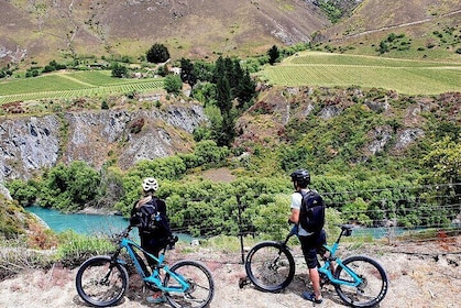 Half-Day Guided eBike Wine Tour Queenstown to Gibbston