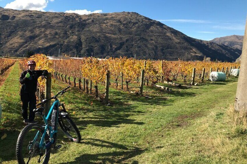 Half-Day Guided eBike Wine Tour Queenstown to Gibbston