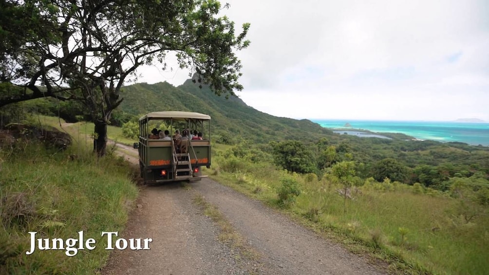 Jungle Expedition & Nature Tour