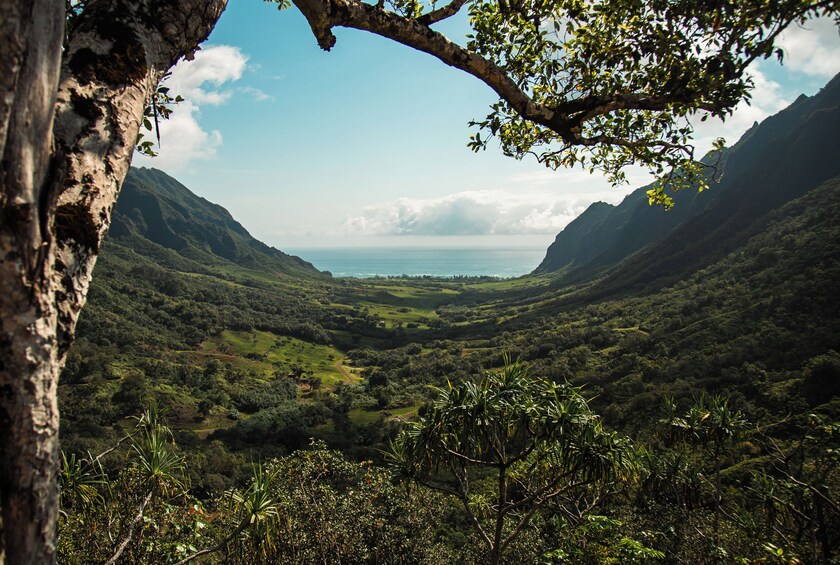 Jungle Expedition Tour at Kualoa Ranch