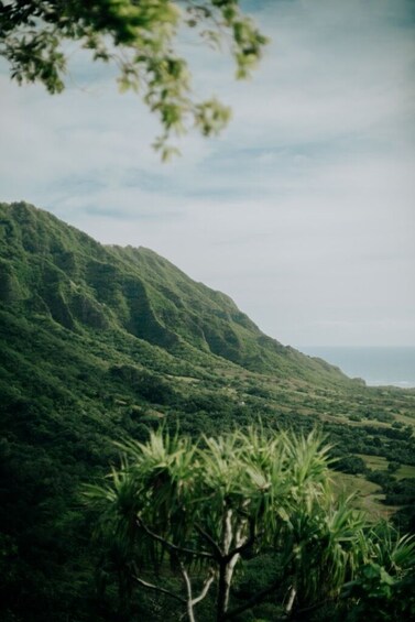 Jungle Expedition Tour 