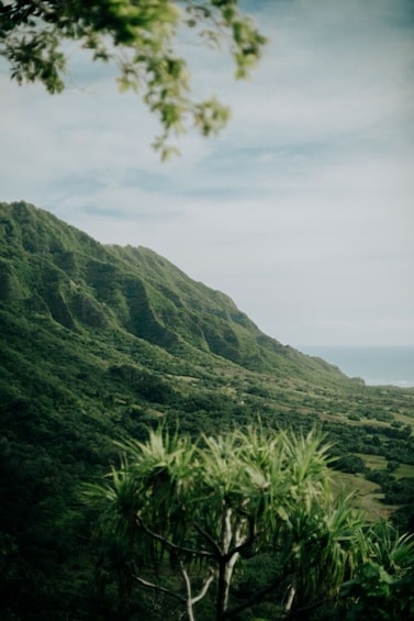 Jungle Expedition Tour
