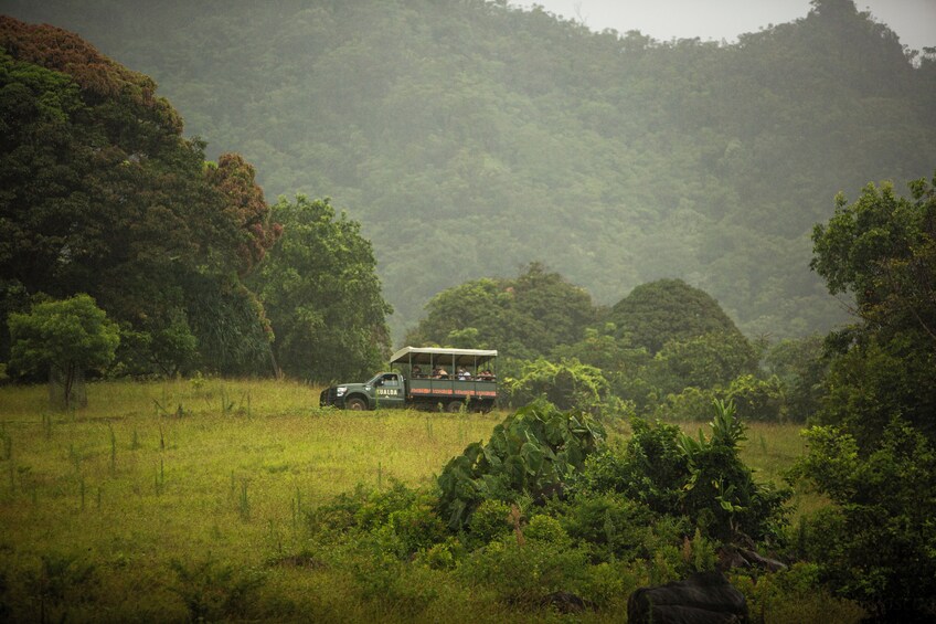 Jungle Expedition Tour at Kualoa Ranch