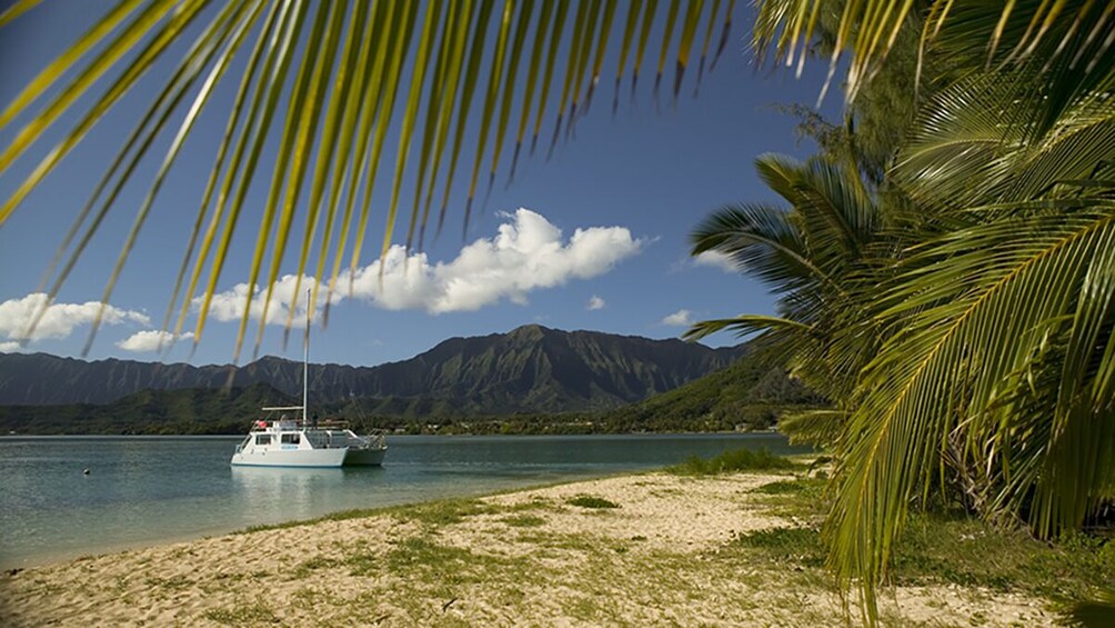 Kane'ohe Bay Ocean Voyage 