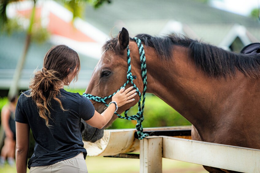 Two Hour Horseback Tour at Kualoa Ranch