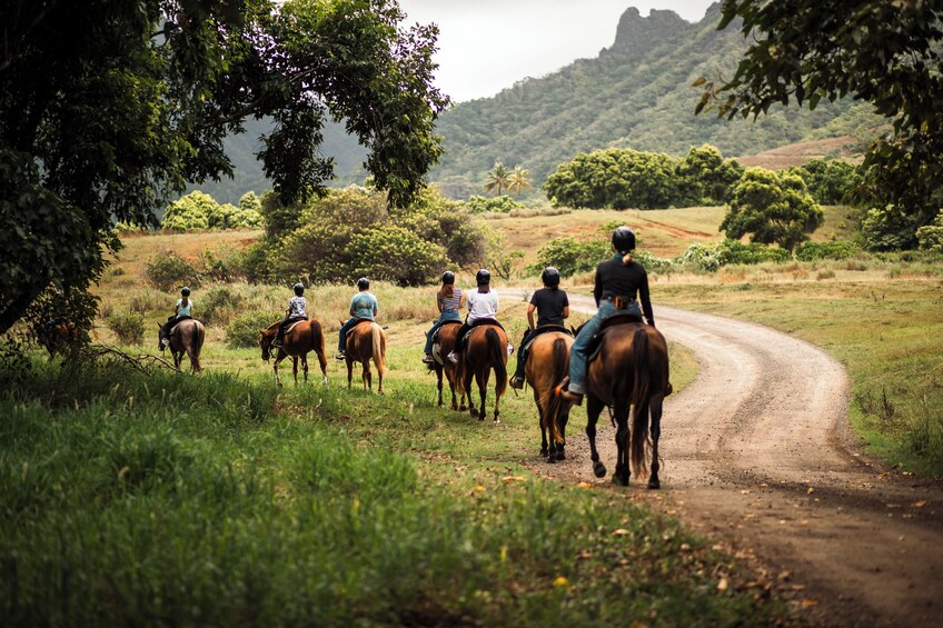 Two Hour Horseback Tour at Kualoa Ranch