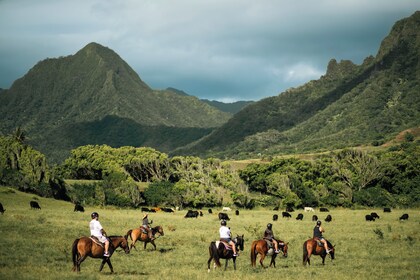 To timers ridetur på Kualoa Ranch