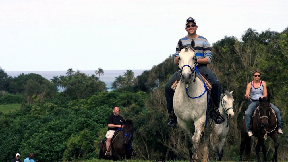 Show item 5 of 6. Horses with riders on trail
