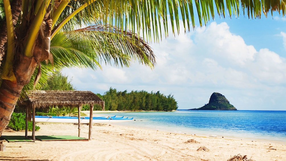 Enjoy the sandy beach at Kualoa, Oahu