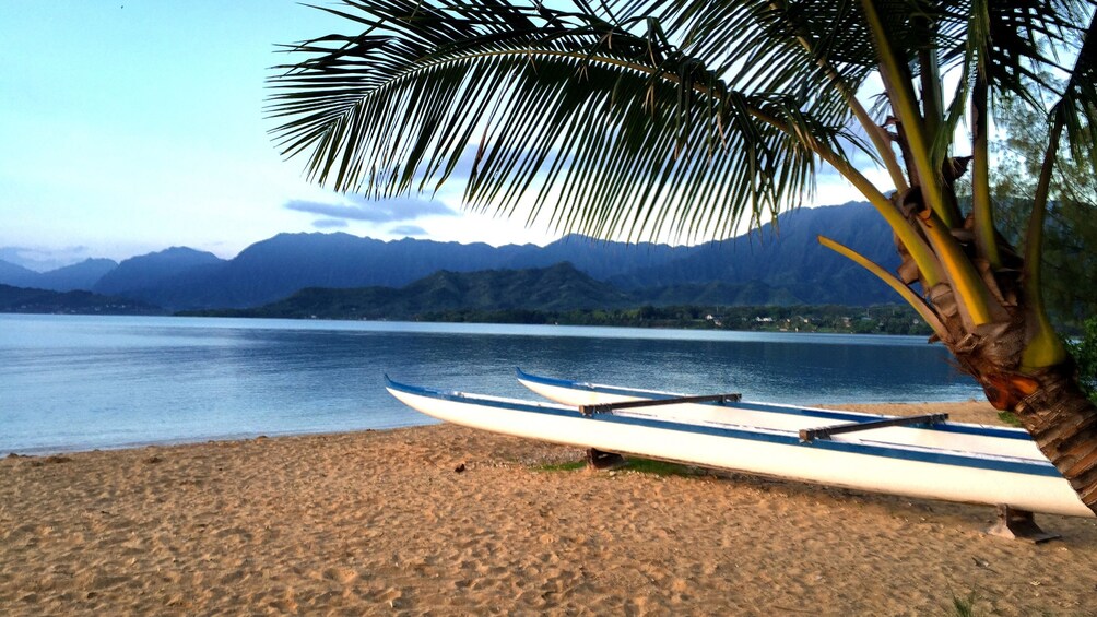 Half or Full Day Secret Island Beach Excursion 