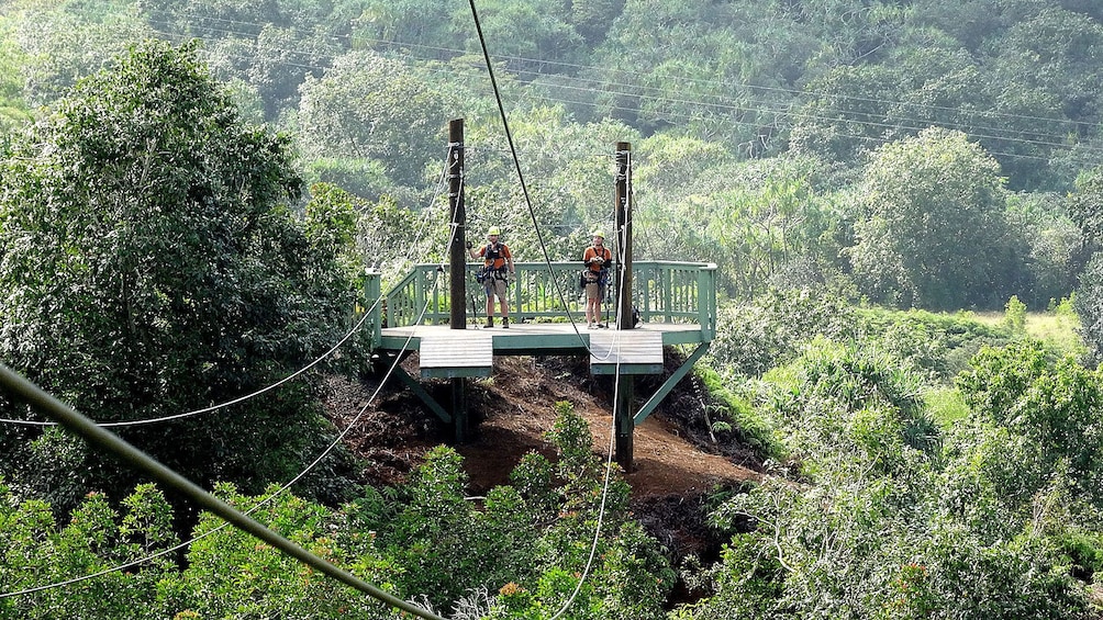 Speed down 14 different ziplines in Kualoa Ranch