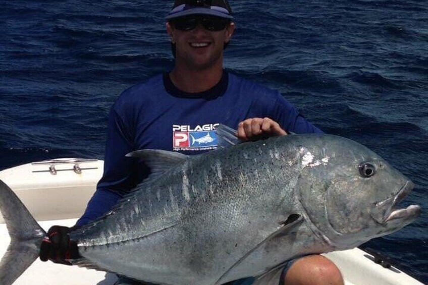 Big GIant Trevally in Bora Bora