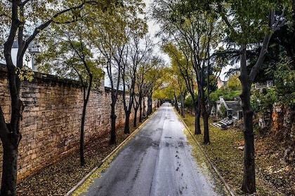 Pula Highlights Bike Adventure