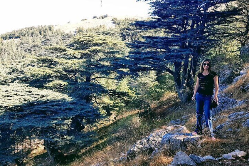Hiking in the Cedars Nature Reserve