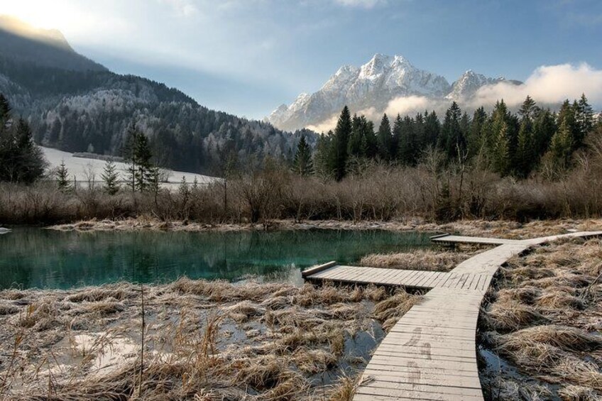 Zelenci Natural reserve