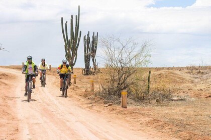 Tatacoa Desert bike tour