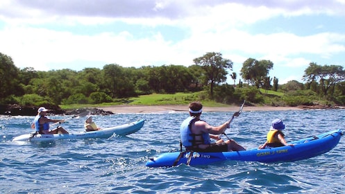 Excursión en kayak por la costa sur con esnórquel en Turtle Town